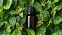 Dark essential oil bottle on fresh green mint leaves background, aromatic herb and aromatherapy concept for wellness, spa and natural medicine.