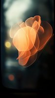 Abstract orange glowing translucent shapes floating on dark background with bokeh effects create ethereal atmospheric composition for modern design projects.