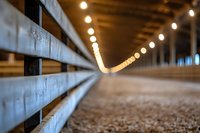 Indoor equestrian arena with wooden railing and string lights creating bokeh effect along curved path. Sandy ground and dramatic perspective lead viewer's eye into distance.