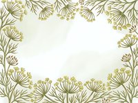 Botanical line art border frame with delicate umbrella flower clusters in muted gold and sage tones on white background, isolated and ready for invitations, stationery, and design projects.
