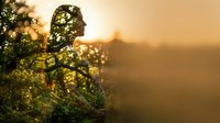 Young woman silhouette among green foliage during golden hour sunset with warm bokeh light and peaceful mountain landscape background for wellness concepts.