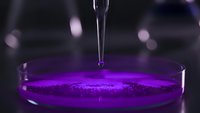 Purple liquid drop falling into glass container creating ripples in laboratory setting for scientific research and chemical experiments.