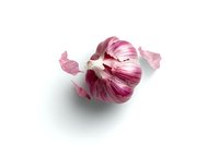 Fresh purple garlic bulb with peeling skin isolated on white background, useful for cooking ingredients and healthy food concepts.