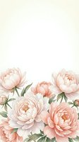 Soft pink peonies with green leaves arranged at bottom of cream background, isolated floral border design for wedding invitations and feminine projects.