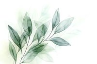 Delicate translucent green leaves with soft watercolor effect on white background, creating an ethereal botanical illustration for wellness branding and nature-inspired designs.