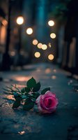 Single pink rose lying on wet street at dusk with soft glowing bokeh lights in background creating romantic urban atmosphere.