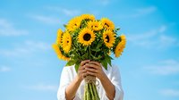 Caucasian woman with long brown hair holding large bouquet of yellow sunflowers against blue sky background. Summer floral arrangement for greeting cards, celebrations, and seasonal designs.