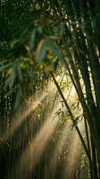 Sunlight filters through dense bamboo forest canopy, creating atmospheric rays and golden light beams among tall green stalks and foliage in natural woodland setting.