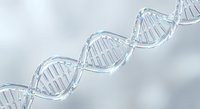 Crystal clear DNA double helix structure with detailed molecular bonds against soft cloudy background for scientific research and biotechnology presentations.