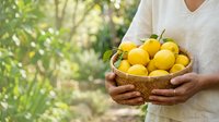 Person in light-colored shirt holding woven basket filled with fresh yellow lemons against blurred green garden background. Harvest and farming concept.