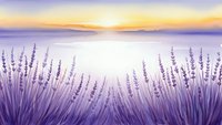 Lavender field at sunset with purple flowers blooming near calm water under golden sky. Peaceful nature scene for relaxation and wellness designs.