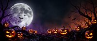 Spooky Halloween night scene with glowing jack-o-lantern pumpkins lined up on rocky ground under full moon with flying bats and bare twisted tree branches.