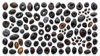 Cacao beans isolated on white background, displaying various sizes and roasted states. Suitable for food packaging, culinary design, chocolate production marketing, and educational materials.