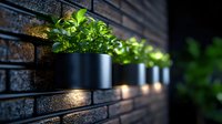 Modern wall-mounted black planters with fresh green herbs create dramatic lighting effect against dark brick wall, perfect for urban garden design.