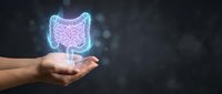 Human hands presenting glowing digestive system hologram with intestines and stomach for medical education and healthcare technology concepts.