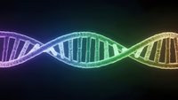 Colorful DNA double helix structure with glowing neon effect on dark background for genetic research and biotechnology concepts.