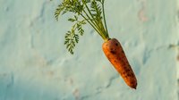 Fresh orange carrot with green leafy top isolated against soft blue textured background, suitable for food, cooking, nutrition, and healthy eating design projects.