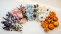 Colorful dried flower arrangement with lavender, cotton, hydrangea and marigolds on white background for crafting and home decor projects.
