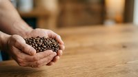 Close-up of male hands holding roasted coffee beans over wooden table in bright natural light, suitable for coffee business, cafe marketing, and food industry content.