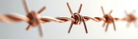 Copper barbed wire macro shot on white background shows metallic twisted spikes and sharp points, highlighting security and boundary concepts.