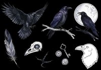 Dark raven clipart set with bird skull, feather, moon, and keys, isolated on transparent background. Ready for stickers, t-shirt design, and print on demand.