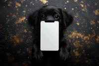 Adorable black puppy holding blank smartphone screen on dark background with gold glitter accents, perfect for tech or pet-related marketing.