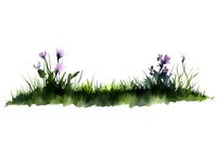 Delicate purple wildflowers growing in green grass painted in loose watercolor style on white background, isolated decorative floral border element for design projects.