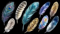 Isolated feathers collection featuring peacock, gold, teal, purple, and gray plumes on transparent background. Ready for t-shirt designs, clipart, stickers, sublimation, and print-on-demand projects.