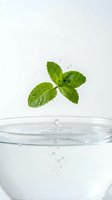 Fresh mint leaves floating above clear water with bubbles on white background for beverage and wellness concepts.