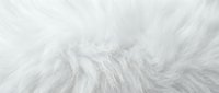 Soft white fluffy fur texture background with natural fiber patterns for cozy interior design and luxury fashion projects.