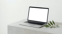 Modern laptop computer with blank white screen on minimalist white desk workspace with green plant branch for mockup and design presentations.