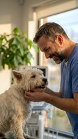 Middle-aged Caucasian male veterinarian in blue scrubs examining white terrier dog indoors near window with natural light and potted plant in background.