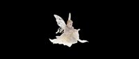 Sitting fairy figurine in ivory gown with glitter wings, isolated on transparent background, ready for stickers, clipart, print on demand, and T-shirt design use.