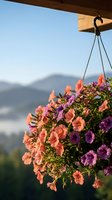 Colorful petunia flowers in hanging basket on mountain terrace during golden hour sunset with blurred landscape background for garden decoration.