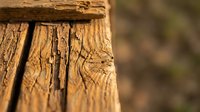 Weathered wooden fence post with cracked bark texture and natural grain patterns in warm brown tones against blurred outdoor background.