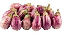 Fresh striped purple and white eggplants arranged in row on white background, isolated organic vegetables ready for cooking and food design projects.