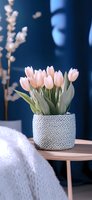 Delicate pink tulips in knitted gray pot on wooden table against deep blue wall, with soft white throw blanket and decorative branches creating cozy home atmosphere.