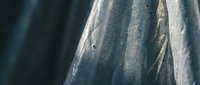 Close-up of weathered driftwood with natural grain patterns and water droplets, showcasing organic textures for nature-inspired design projects.