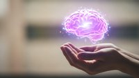 Glowing pink brain hologram floating above open human hands representing artificial intelligence, mental health, neuroscience and cognitive technology concepts.