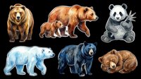 Watercolor bear clipart set with grizzly, panda, polar, black, and brown bears isolated on transparent background, ready for stickers, t-shirt design, and print on demand.