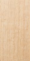 Light beige natural wood grain texture with vertical striped pattern. Seamless surface for furniture design, interior decoration and architectural elements.