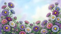 Purple and pink asters blooming in garden border frame with soft sky background for spring floral designs and nature themed projects.