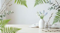 Spring home decor with fern leaves, eucalyptus branches, snowdrop flowers in white vase on marble table. Natural botanical styling for interior design.
