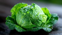 Fresh green cabbage head with water drops on crisp leaves against dark background, macro photography highlighting natural texture and organic produce.