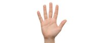 Open palm hand gesture showing five fingers on white background isolated for communication and counting concepts.