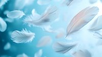 Delicate white and pink feathers floating gracefully against dreamy turquoise blue bokeh background, creating ethereal atmospheric mood for spiritual and wellness designs.