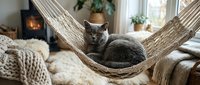 Gray tabby cat relaxing in woven hammock near fireplace, cozy home interior with knitted blankets and plants, domestic pet lifestyle scene.