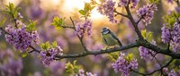 Small songbird perched on blooming lilac branch in spring garden with soft bokeh background and warm golden sunlight filtering through purple flowers.
