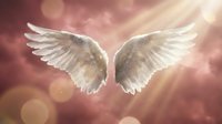 Pair of white feathered wings against a soft pink and golden bokeh background with light rays, symbolizing spirituality, heaven, and divine protection for religious and inspirational designs.