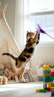 Playful tabby and black cat jumping to catch purple feather toy in bright playroom with teepee, stuffed animals, and building blocks for pet entertainment and indoor play.